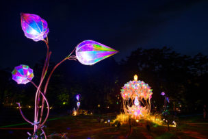 童話村の森ライトアップ